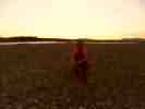 SAM_8235.JPG