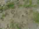 SAM_8317.JPG