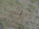 SAM_8318.JPG