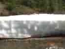 2020-07-11-09.41.42.jpg