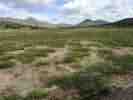 IMG_20200711_090943.jpg