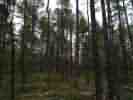 IMG_20200715_134643.jpg