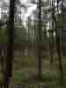 IMG_20200715_134659.jpg
