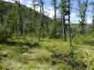IMG_20200716_024612.jpg
