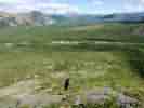 IMG_20200716_032844.jpg