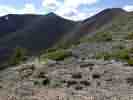 IMG_20200716_040355.jpg