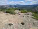 IMG_20200716_040359.jpg