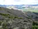 IMG_20200716_044719.jpg