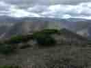 IMG_20200716_044746.jpg