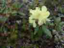 IMG_20200716_045118.jpg