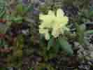IMG_20200716_045120.jpg
