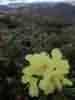 IMG_20200716_045127_1.jpg