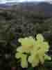 IMG_20200716_045127.jpg