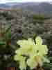 IMG_20200716_045129.jpg