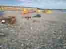 IMG_20200721_141730.jpg
