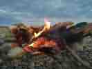 IMG_20200721_141942.jpg