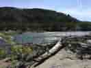 IMG_20200723_064624.jpg