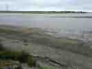 IMG_20200724_114455.jpg