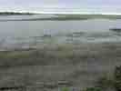 IMG_20200724_114458.jpg