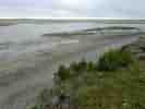 IMG_20200724_114503.jpg