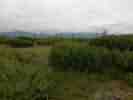 IMG_20200726_015612.jpg