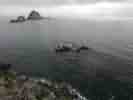 IMG_20200728_032825.jpg