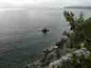 IMG_20200728_032830.jpg