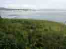 IMG_20200728_032847.jpg