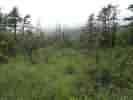 IMG_20200728_053717.jpg