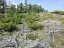 IMG_20200728_062243.jpg