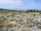 IMG_20200728_062610.jpg