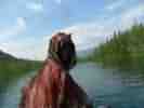 SAM_8647.JPG