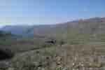 P1060042.jpg